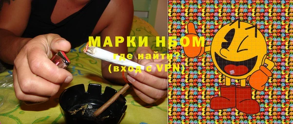 дмт Арсеньев