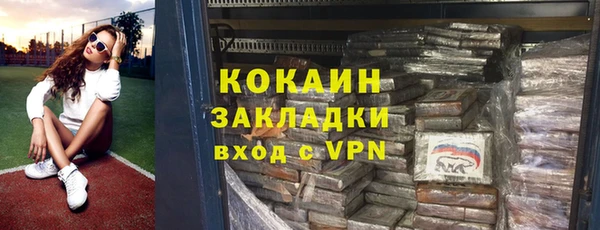 дмт Арсеньев