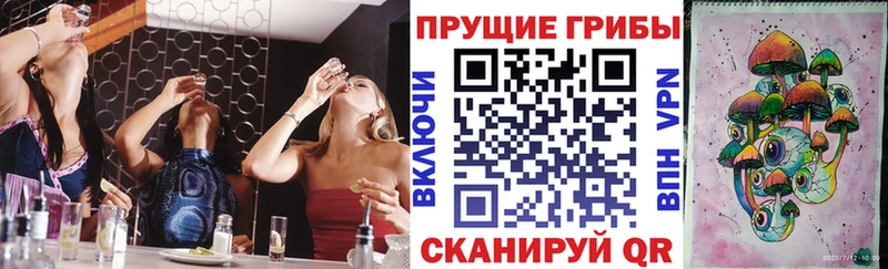 Псилоцибиновые грибы мицелий  цены наркотик  Пущино 